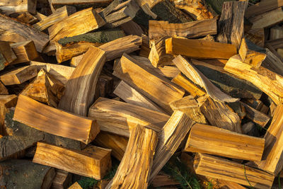 Close-up of logs