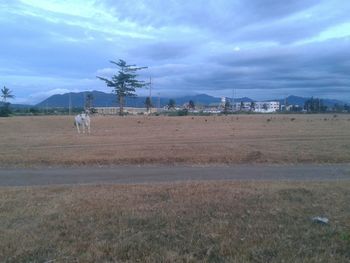 View of field against cloudy sky