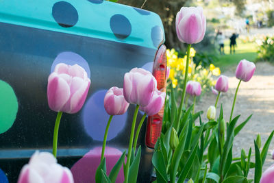Colorful pickup truck surrounded by tulips