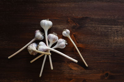 Directly above view of garlic bulbs on table