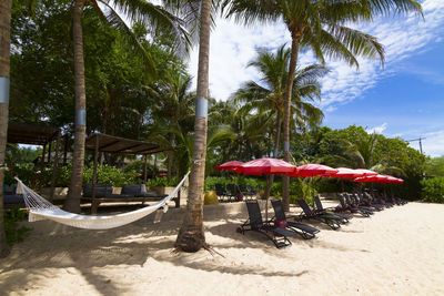 Chairs and palm trees on beach against sky