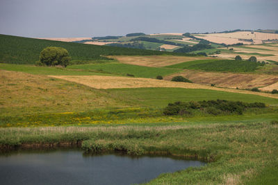 Rural fields and meadows from romania.