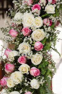 Close-up of multi colored flowers