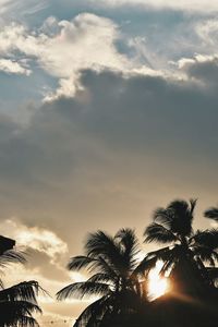 Low angle view of silhouette trees against sky during sunset