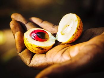 Cropped hand holding halved fruit