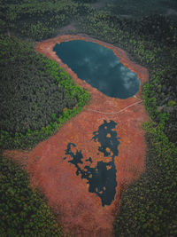 High angle view of lake