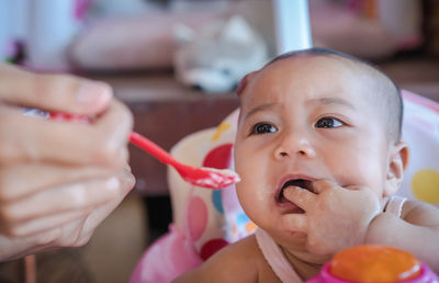 Cropped hand of mother feeding food to baby daughter