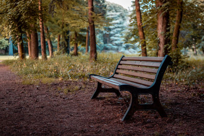 Empty bench in park during autumn