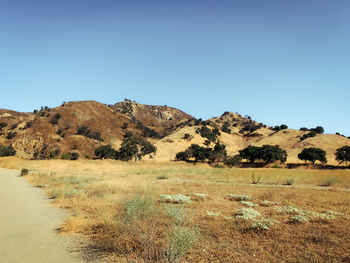 Scenic view of landscape against clear blue sky