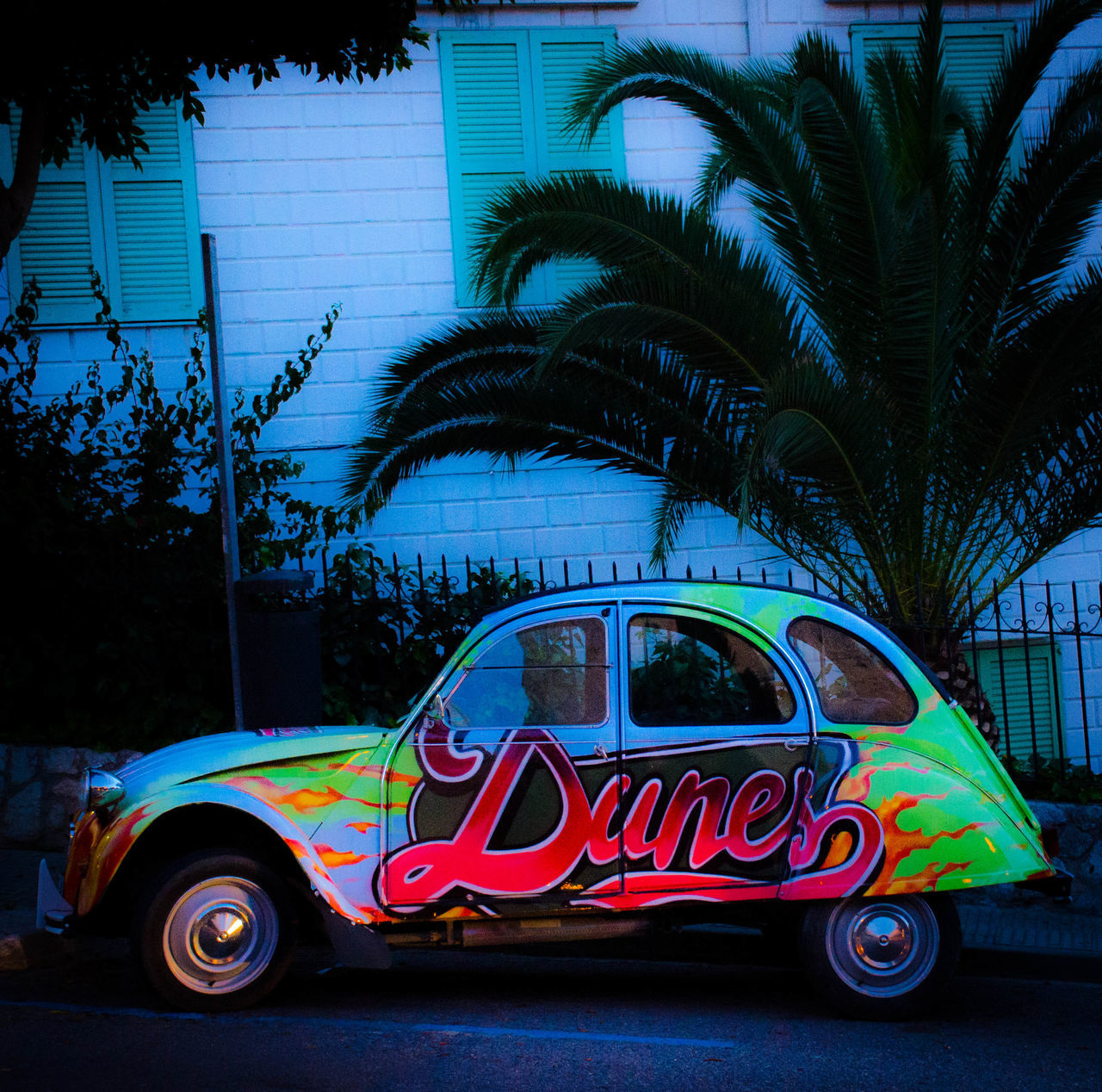 CARS ON PALM TREE