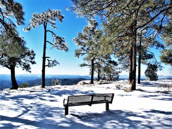 Bench in park during winter