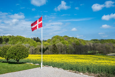 Danish flag in