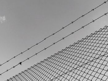 Low angle view of birds flying in sky