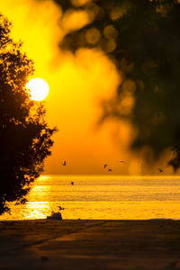 Scenic view of sea against orange sky