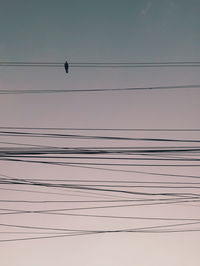 Low angle view of silhouette birds against clear sky