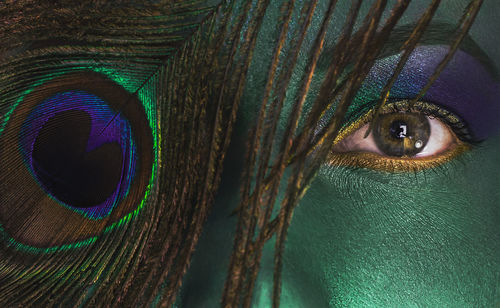 Full frame shot of peacock feather with eye