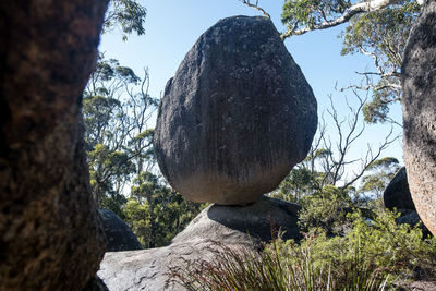 Low angle view of rocks against trees