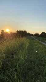 Scenic view of field against sky during sunset