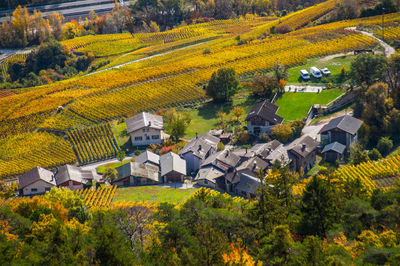 Scenic view of trees and houses during autumn