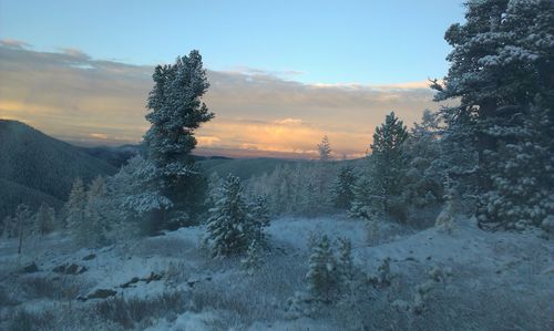 Scenic view of snow covered landscape during sunset