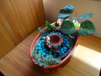 High angle view of potted plant on table