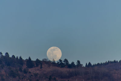 Scenic view of moon against clear sky at night