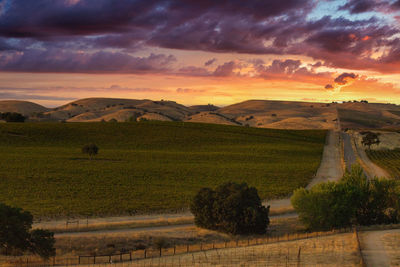 Scenic view of field against sky during sunset