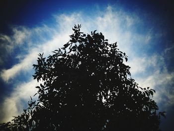 Low angle view of silhouette tree against sky