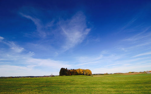 Scenic view of agricultural field against blue sky
