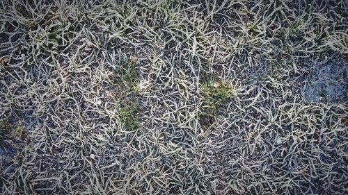 Full frame shot of snow on field