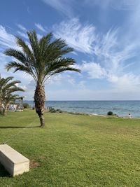 Palm tree by sea against sky