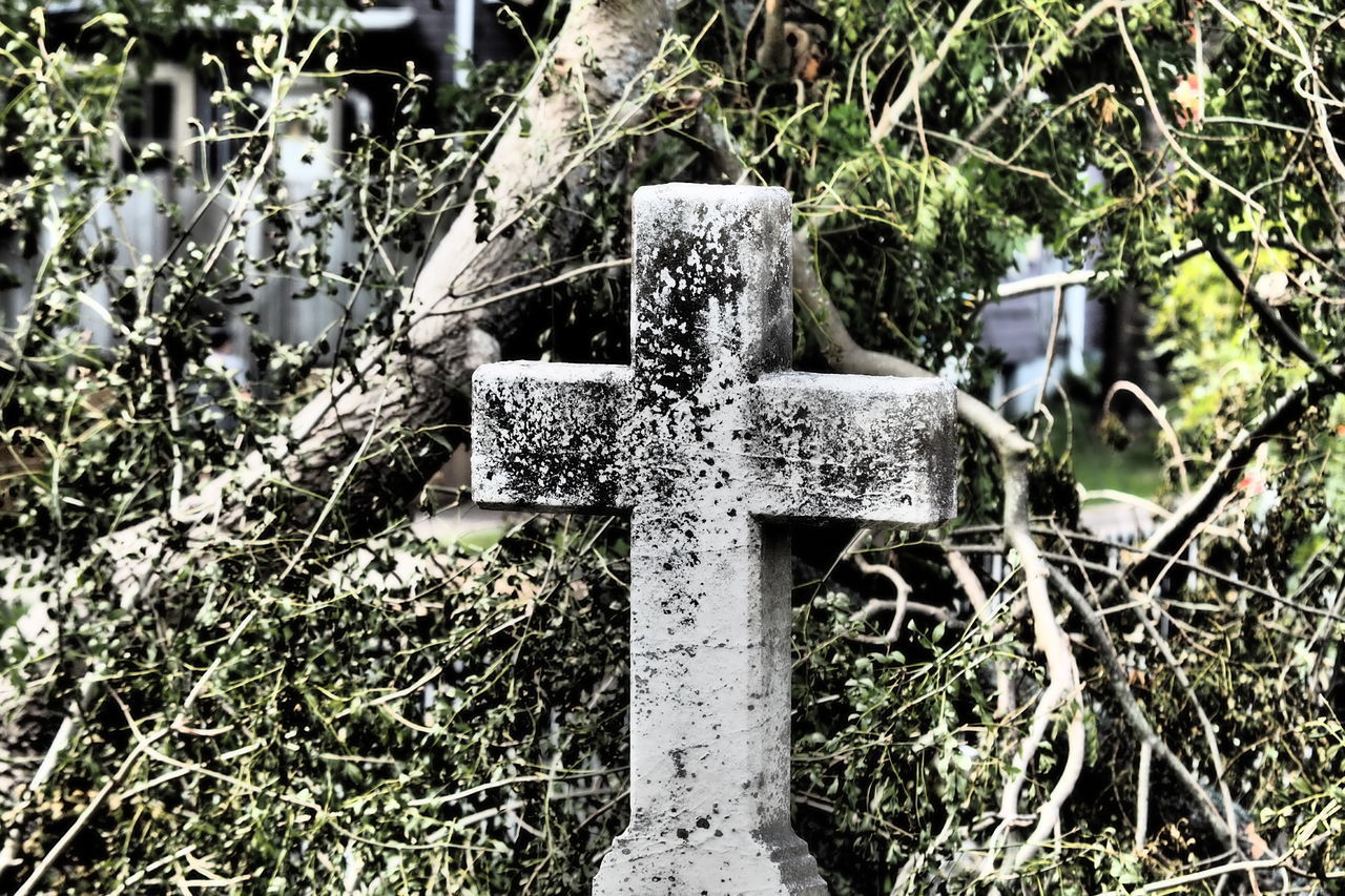 CROSS IN CEMETERY