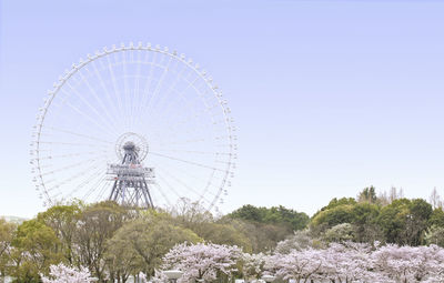 Low angle view of ferris wheel against sky