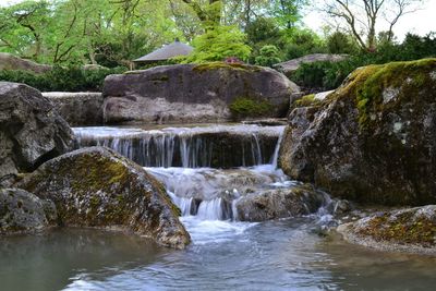 Scenic view of waterfall