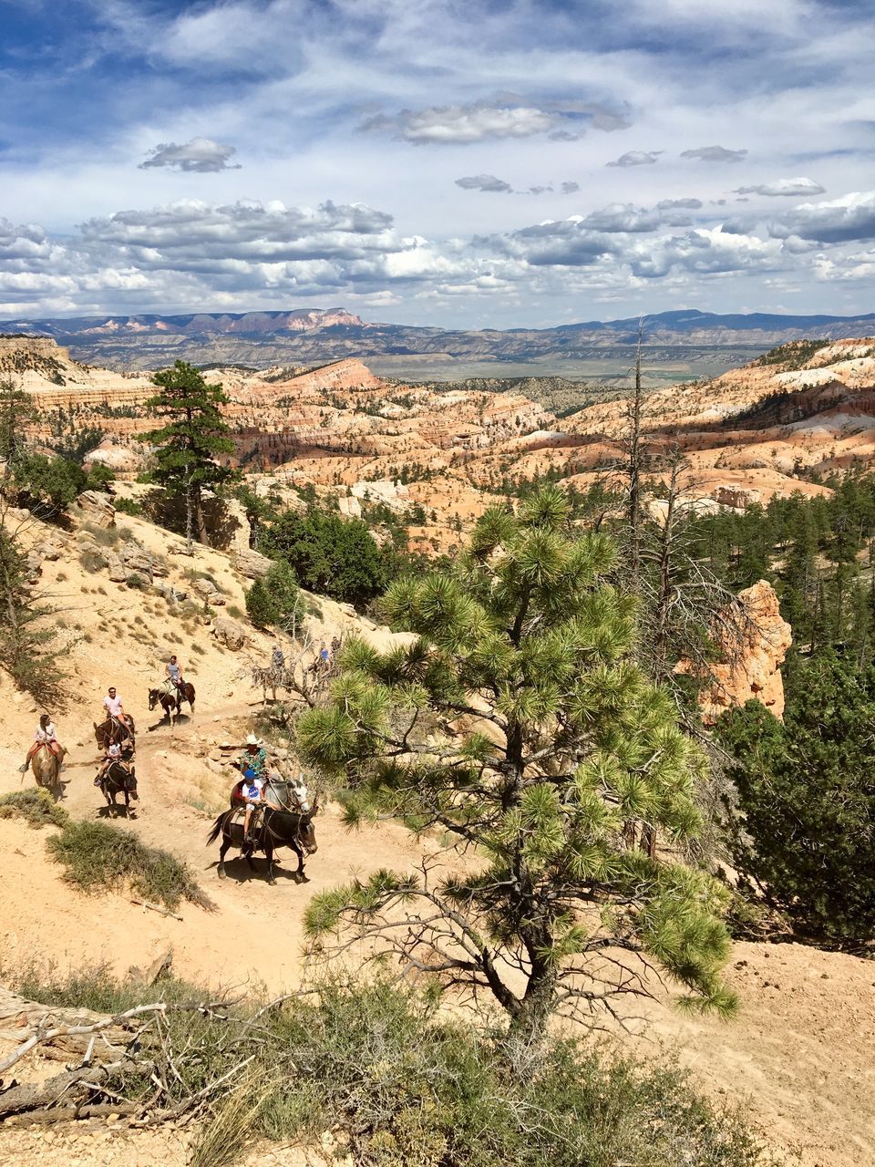 HIGH ANGLE VIEW OF PEOPLE RIDING MOTORCYCLE ON ROAD