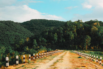 Road amidst trees against sky