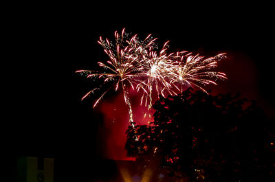 Low angle view of firework display at night