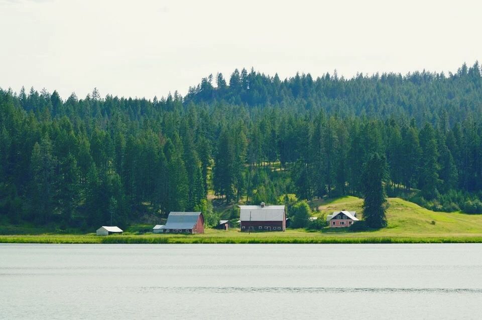 tree, tranquil scene, landscape, tranquility, house, growth, nature, green color, built structure, field, clear sky, building exterior, scenics, architecture, beauty in nature, rural scene, day, village, mountain, road