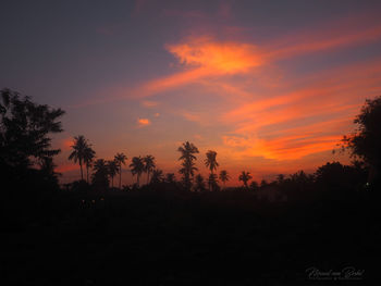 Silhouette trees against sky during sunset