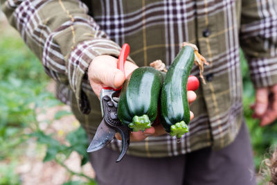 Close-up of hand holding zucchini