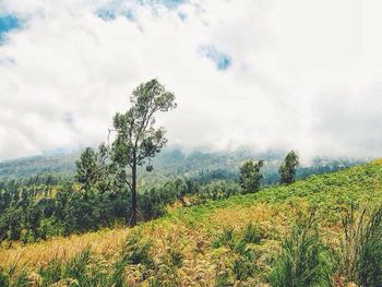Scenic view of landscape against cloudy sky