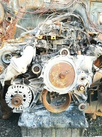 Close-up view of plate