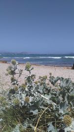 Scenic view of sea against clear sky