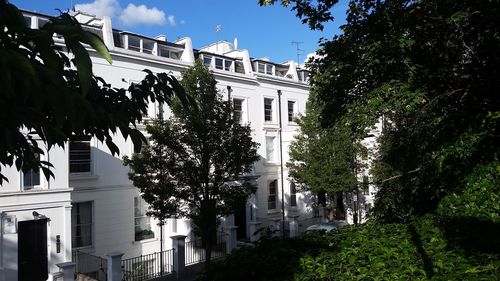 Trees and buildings against sky