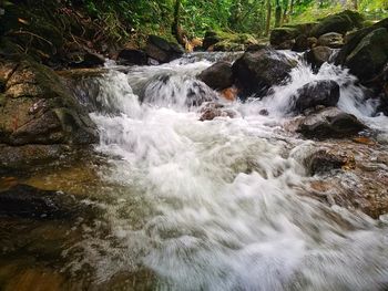 Stream flowing through rocks in forest