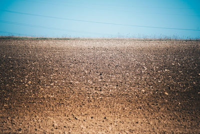 Scenic view of field against clear sky