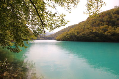Scenic view of lake by trees against sky