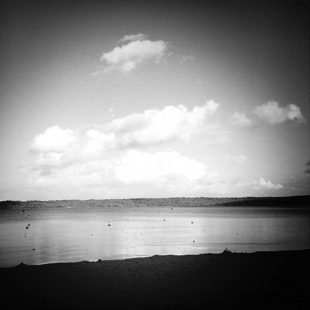 water, sea, sky, horizon over water, beach, tranquil scene, tranquility, scenics, bird, beauty in nature, nature, cloud - sky, shore, animal themes, cloud, wildlife, idyllic, animals in the wild, sand, outdoors