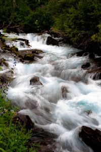 Scenic view of waterfall in forest