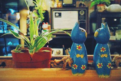 Potted plants on the wall